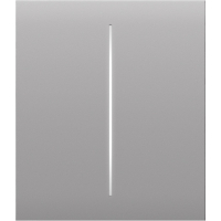 Overhead panel Ajax CenterButton 2-gang/White (CenterButton 2-gang/Fog)
