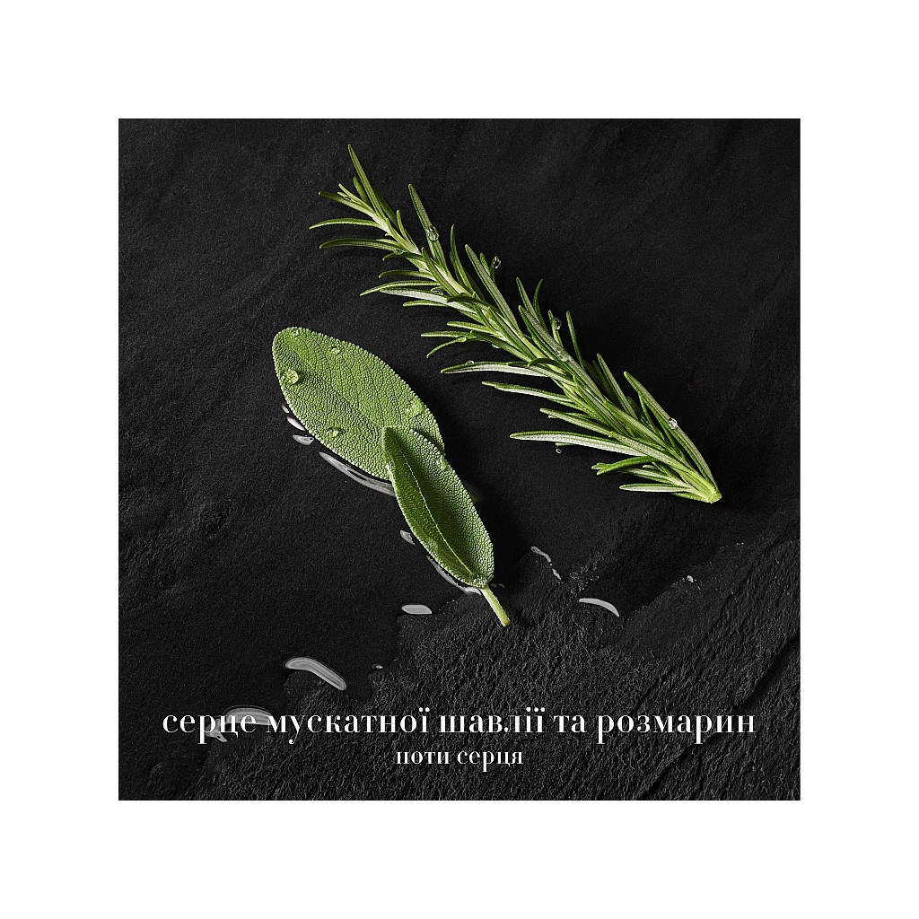 Парфуми Giorgio Armani Acqua Di Gio Parfum 100 мл (3614273954167)