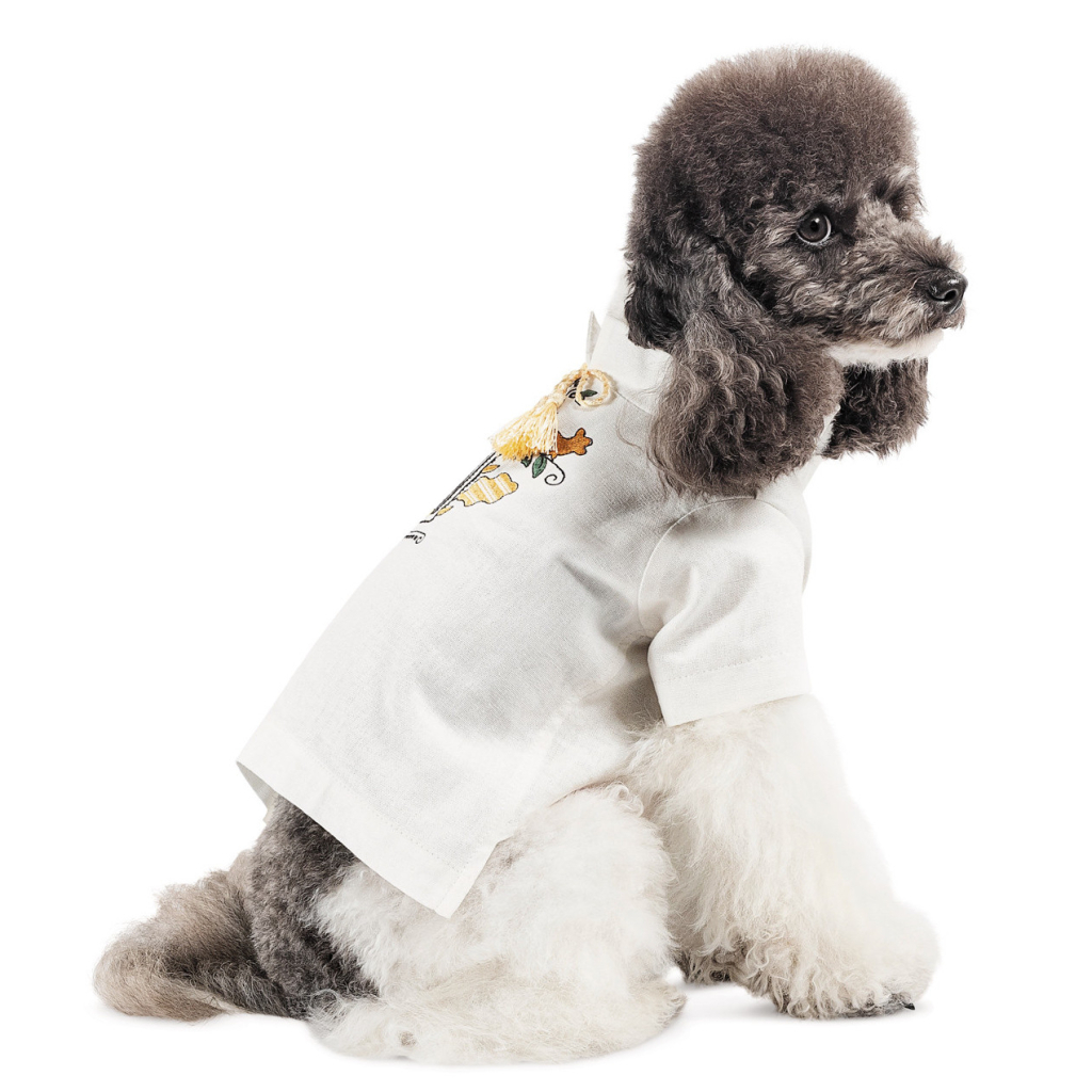 Футболка для тварин Pet Fashion Ostap S (4823082439324)