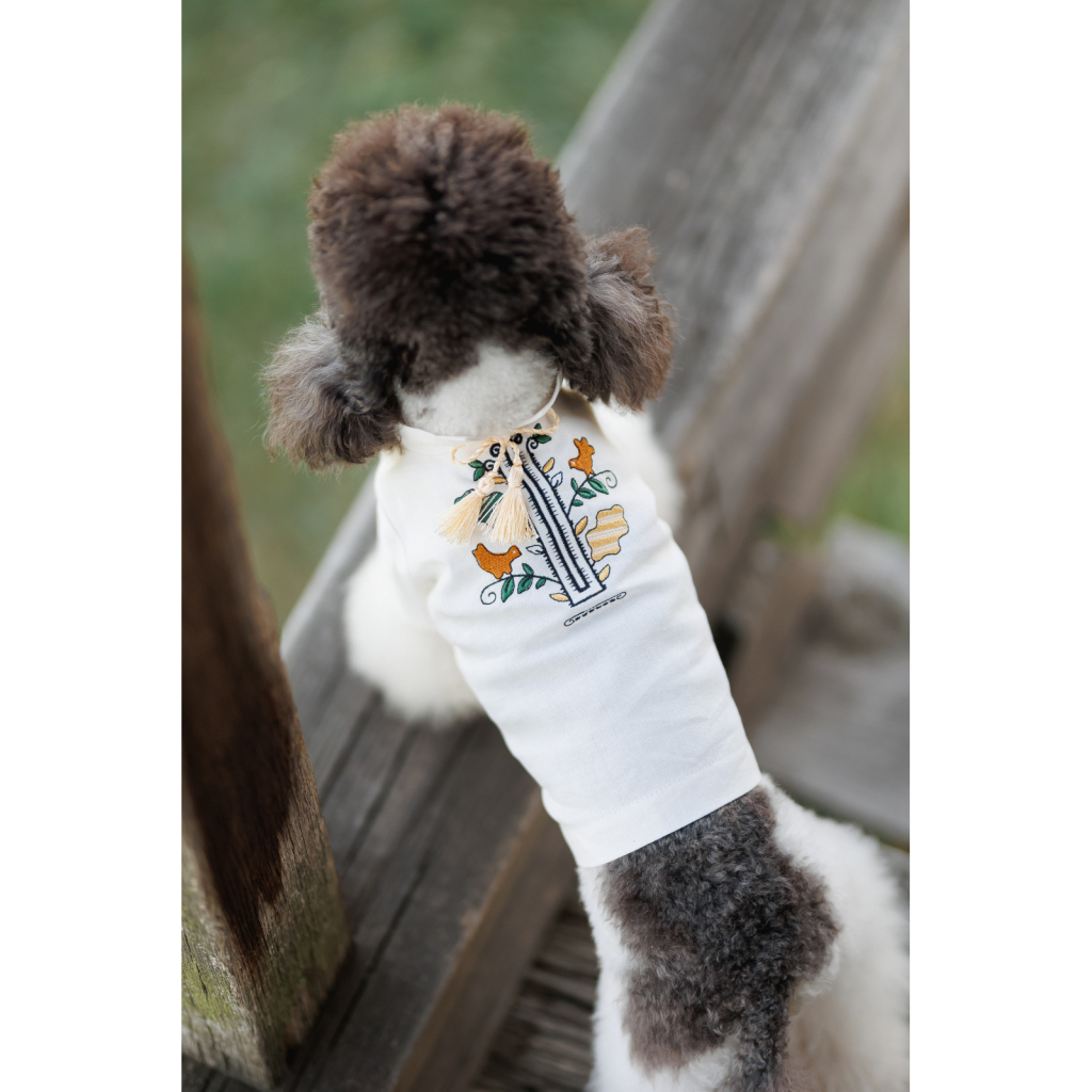 Футболка для тварин Pet Fashion Ostap S (4823082439324)