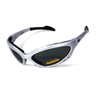 Sunglasses Black Rhino Rhinolidz With Polarization Gray (4РИНО-20П)
