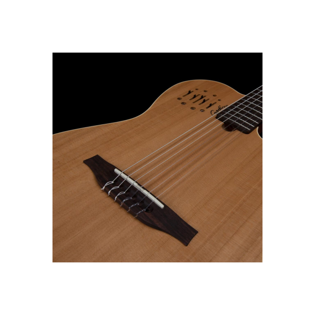 Гітара класична Godin Multiac Nylon Encore Natural SG (235917)