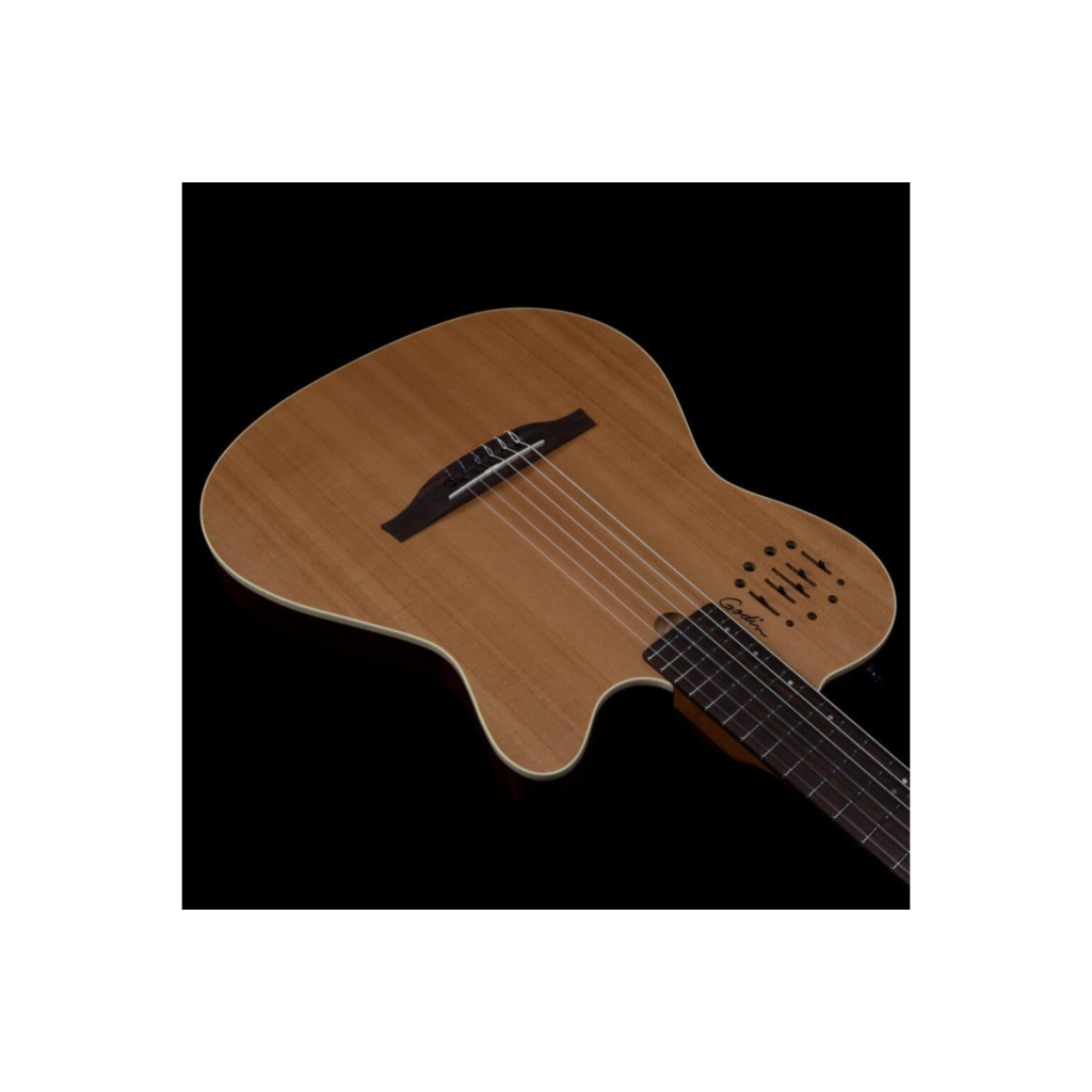 Гітара класична Godin Multiac Nylon Encore Natural SG (235917)