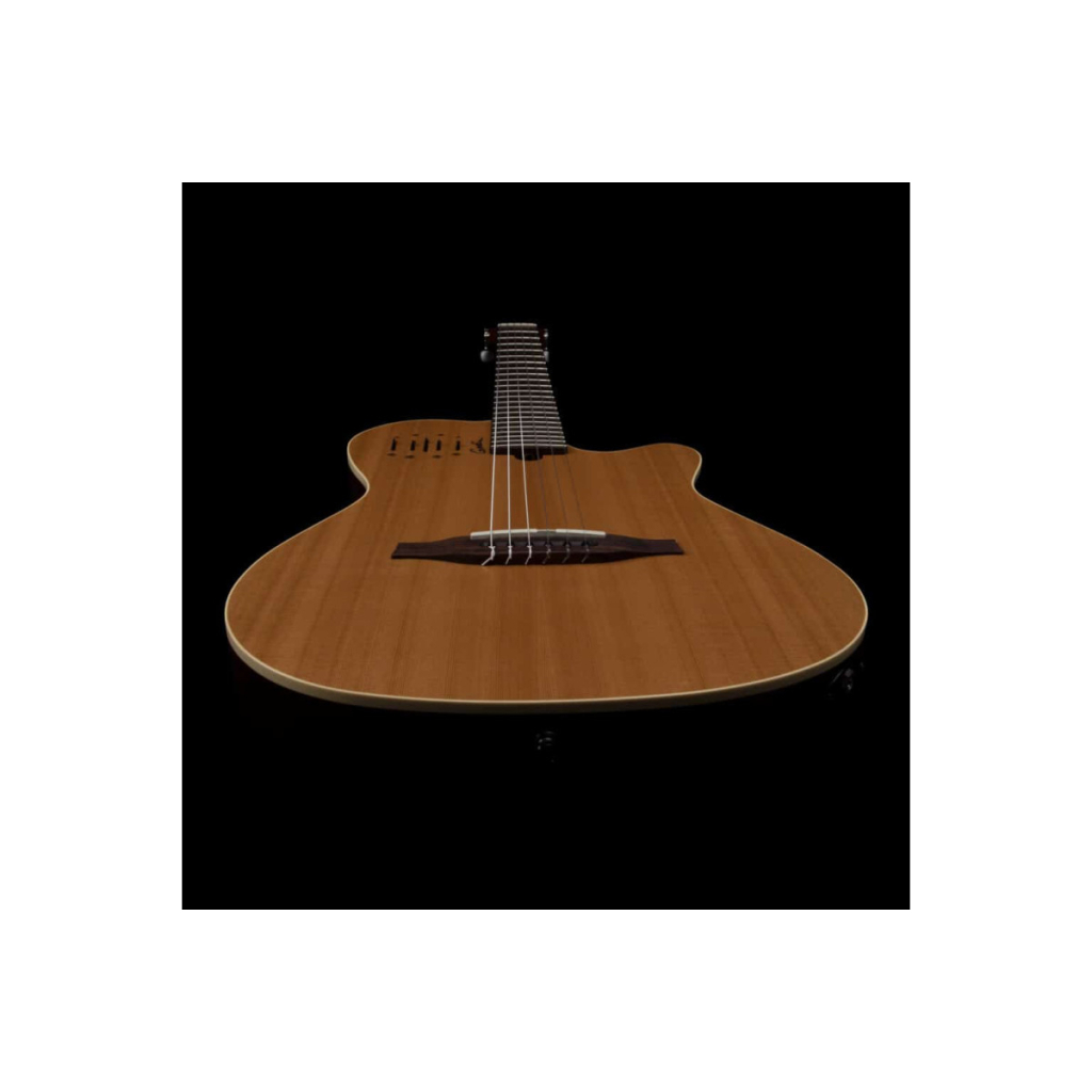 Гітара класична Godin Multiac Nylon Encore Natural SG (235917)
