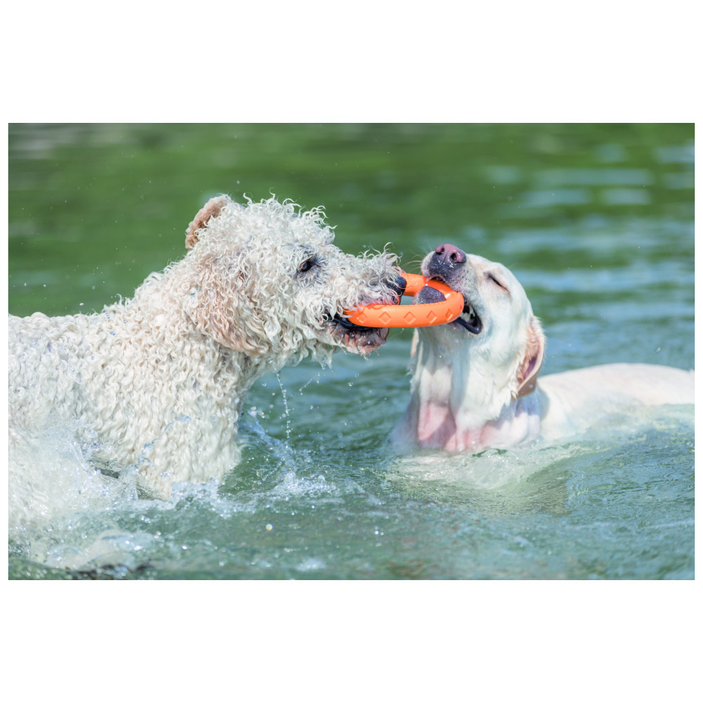 Іграшка для собак Trixie Кільце плавуче Для водних розваг Термопластична гума 17 см (4047974334430)