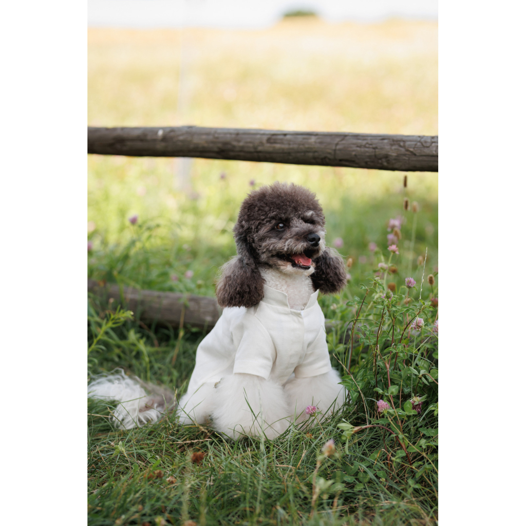 Футболка для тварин Pet Fashion Ostap XS (4823082439263)