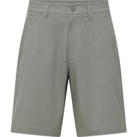 Шорти Salewa Fanes Hemp Light Shotrs Mns 29086 5130 - 48/M - світло-сірий (013.012.1267)