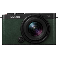 Цифровий фотоапарат Panasonic Lumix DC-S9 Kit 18-40mm f/4.5-6.3 Dark Olive (DC-S9NE-G)