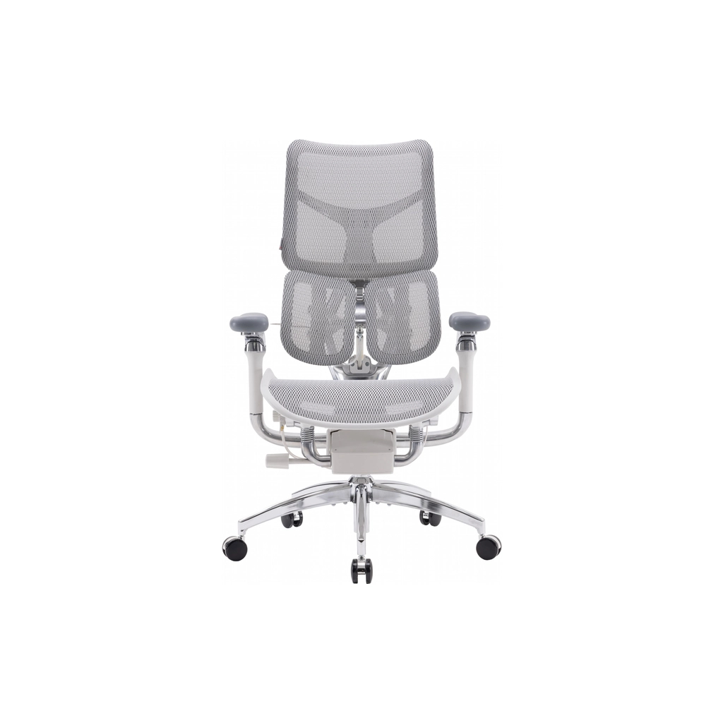 Офісне крісло Sihoo DORO S300 Mesh Light Grey (S300-M202) Офісне крісло Sihoo DORO S300 Mesh Light Grey (S300-M202)