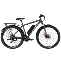 Електровелосипед Formula 29" eMOTION PLUS DD FR рама-19" 36B 12.5А*г 500Вт 2026 сіро-сріблястий (ELB-FR-29-258)