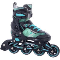 Роликові ковзани Tempish Dasty Boy 41-43 (1000049/41-43)