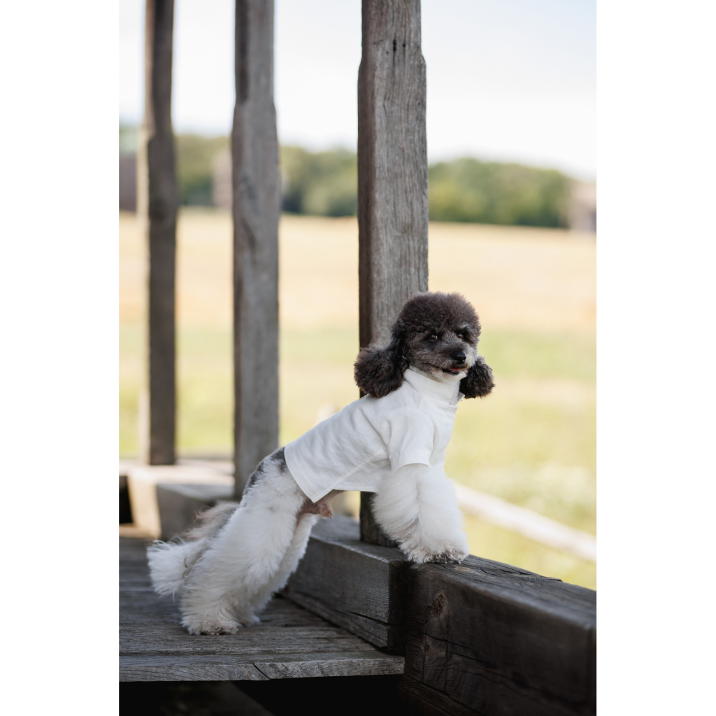 Футболка для тварин Pet Fashion Ostap XXS (4823082439294)