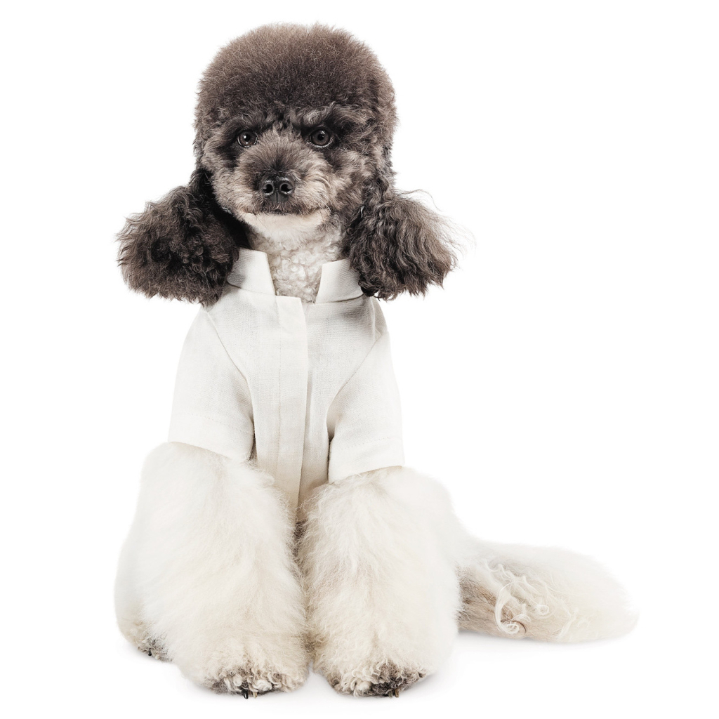 Футболка для тварин Pet Fashion Ostap XXS (4823082439294)