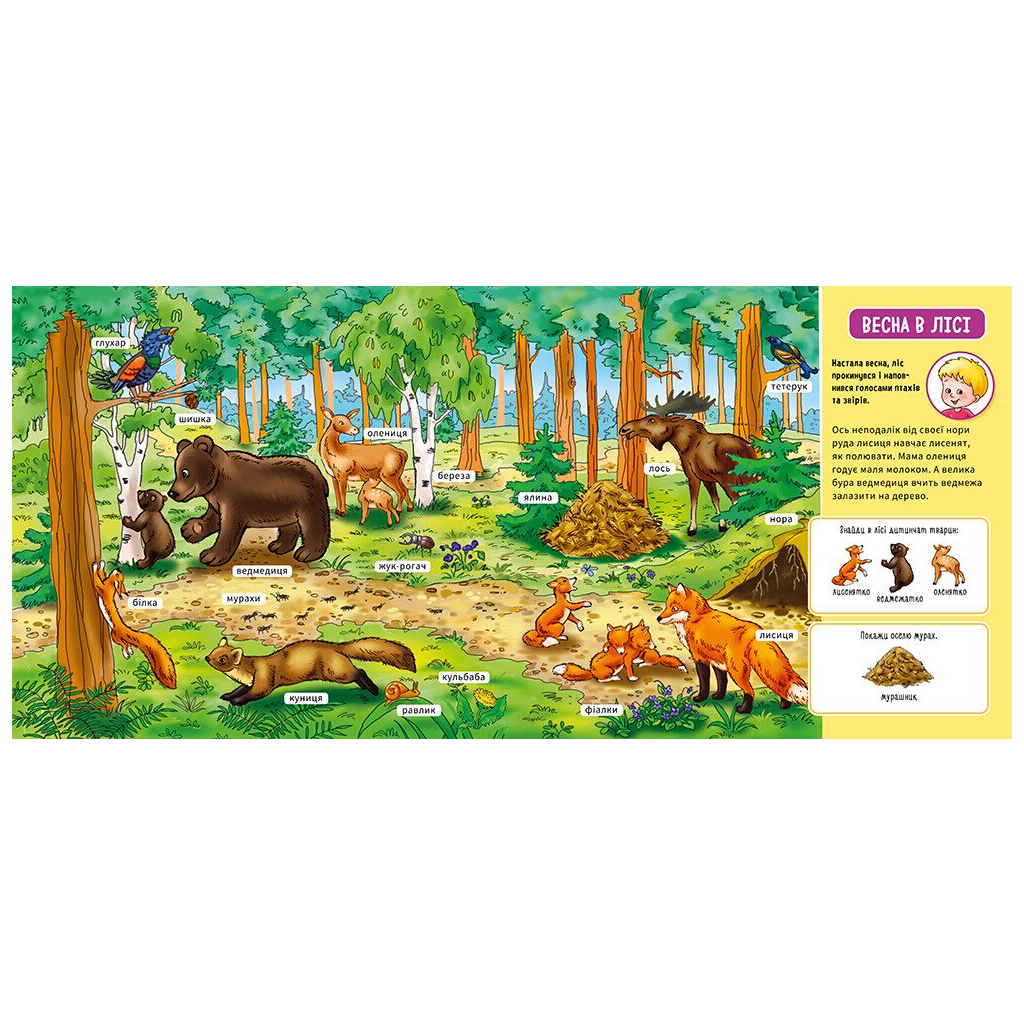 Книга У лісі. Мій перший словничок Ранок (9789667510749)