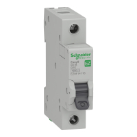 Automatic switch Schneider Electric EZ9 1P 16A (EZ9F14116)