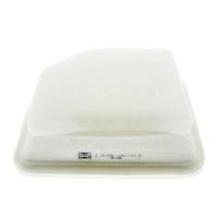 Champion CAF100874P car air filter