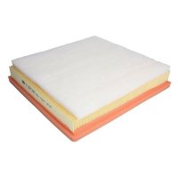 Mann C30163 car air filter