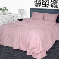 Bed linen Yaroslav Byaz smooth dyed with a sheet B1 one and a half (43278)