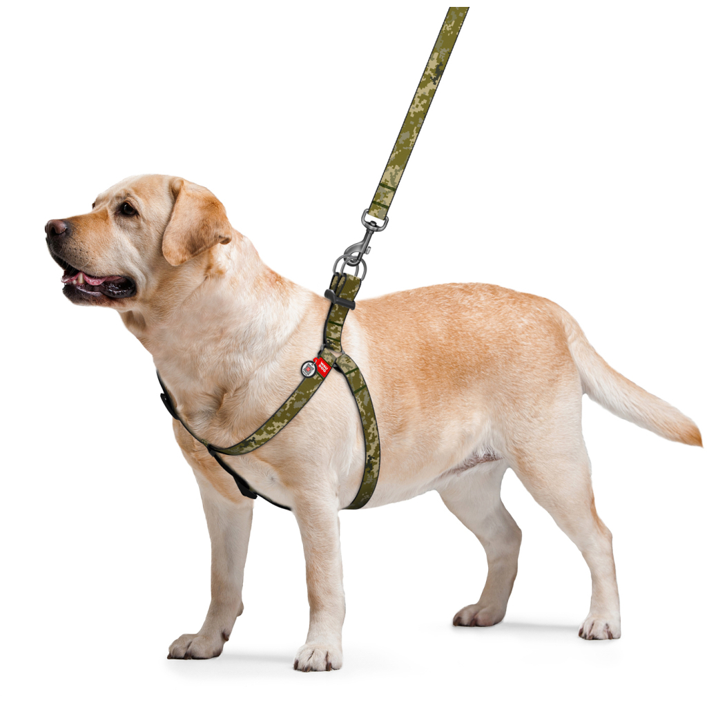 Шлея для собак WAUDOG Nylon з QR-паспортом "Мілітарі" S (330-4026)