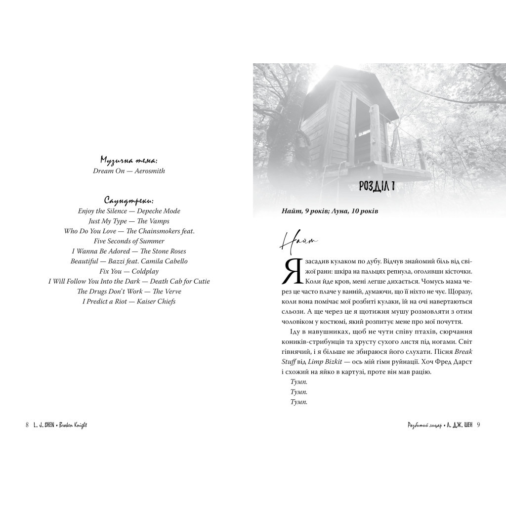 Книга Розбитий лицар - Л. Дж. Шен Видавництво РМ (9786178373283)