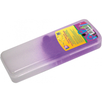 Cool For School Pencil Case Plastic With Buckle Transparent With Lilac Holder 8011 (CF85579)