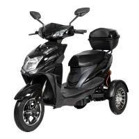 Електроскутер Atlas Falcon Trike Box 1500W Black (4014)