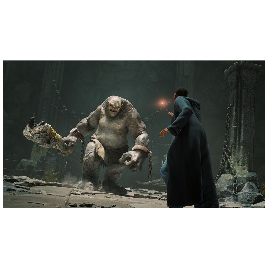 Гра Nintendo Hogwarts Legacy Deluxe Edition, картридж (5051895415597)