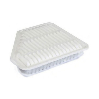 Champion CAF100877P car air filter