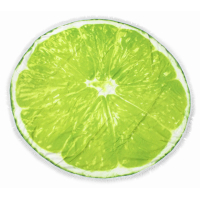MirSon beach towel No. 5067 Summer Time Lime 150x150 cm (2200003947755)