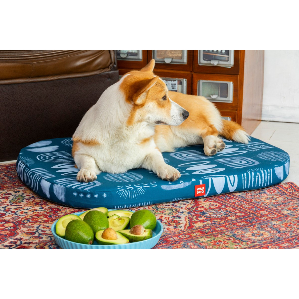 Чохол на матраци для тварин WAUDOG Relax Абстракція L 100х70 см (1310-0104)