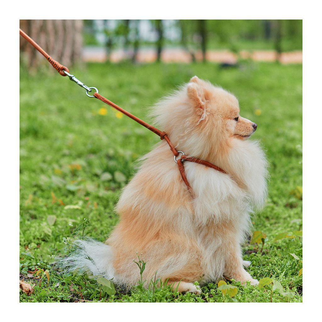 Шлея для собак WAUDOG Soft з QR паспортом кругла Д 6 мм А 26-46 см В 30-50 см коричнева (46236)