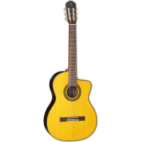 Гітара класична Takamine GC5CE NAT (221976)