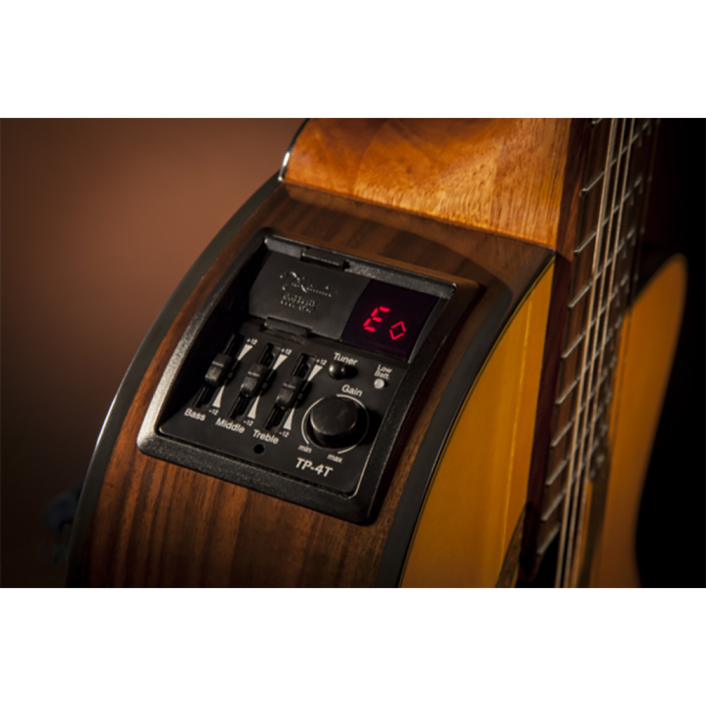 Гітара класична Takamine GC5CE NAT (221976)