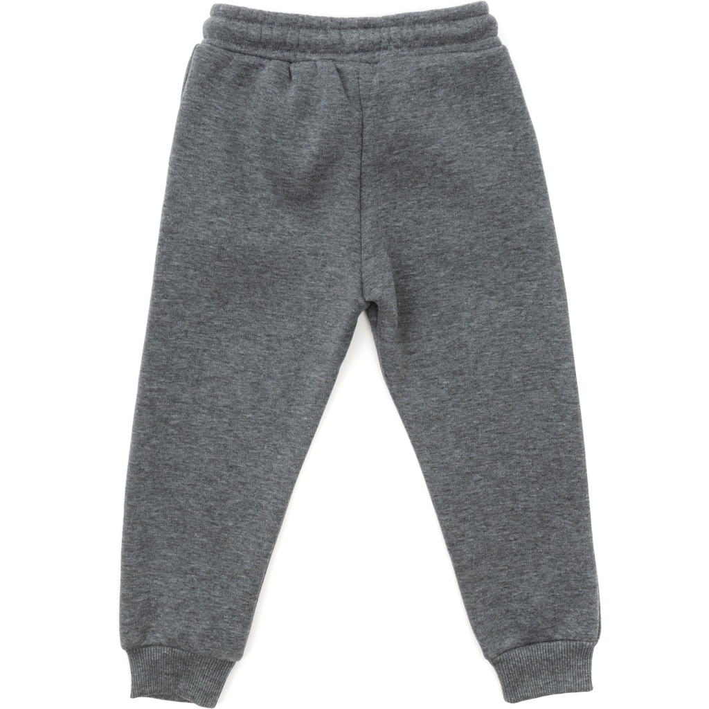Штани дитячі Cloise спортивні флісові (CL0155019-116B-gray)