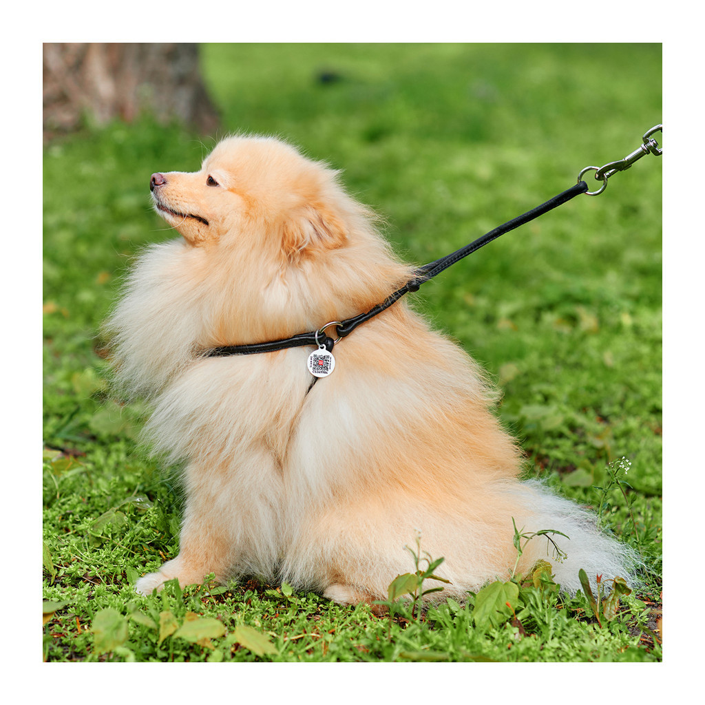 Шлея для собак WAUDOG Soft з QR паспортом кругла Д 6 мм А 26-46 см В 30-50 см чорна (46231)