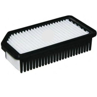 Champion CAF100879P car air filter