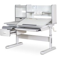 Парта Mealux Florida Multicolor Gray (Evo-52 WG + G Multicolor)