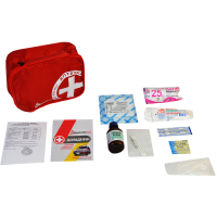 Car first aid kit Poputchik according to TU soft case (02-001-М)
