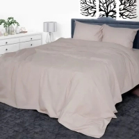 Bed linen Yaroslav Byaz smooth dyed with sheet B4 one and a half (44095)