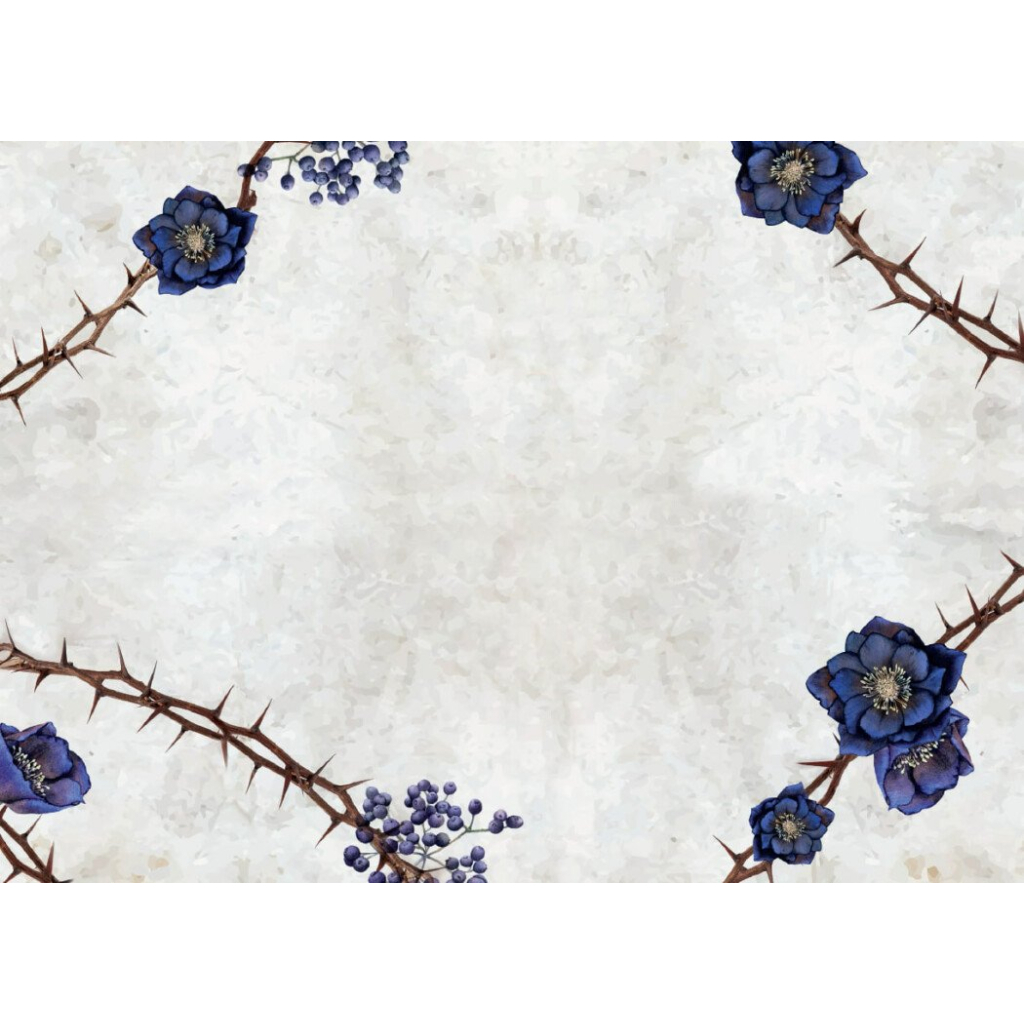 Книга Сага сестер-відьом. Сестра зірок - Мара Вульф Readberry (9786170986962)