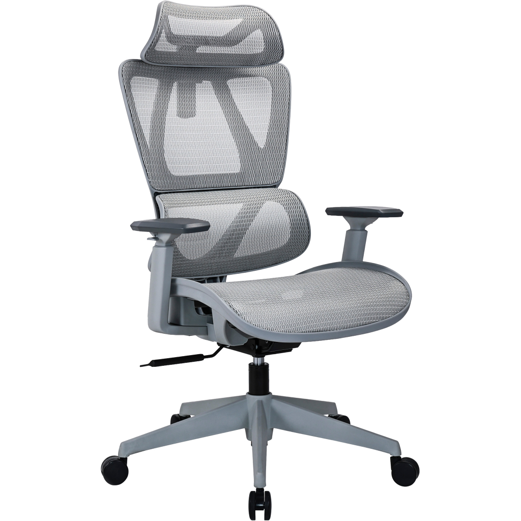 Офісне крісло OfficePro Anvio, OC590G (OC590G)