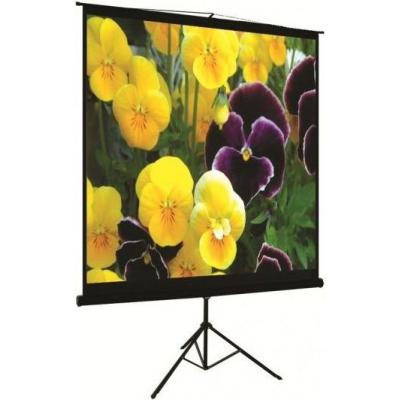 Projection screen LOGAN PRT1