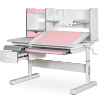 Парта Mealux Florida Multicolor Pink (Evo-52 WG + PN Multicolor)