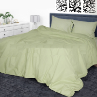 Bed linen Yaroslav Byaz smooth dyed with a sheet B5 one and a half (44096)