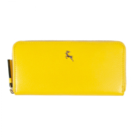 Гаманець Ashwood J51 Aurora