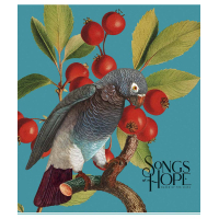 Notebook Schoolbook Birds 60 sheets cell (060-3410K)