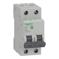Automatic circuit breaker Schneider Electric EZ9 2P 63A C (EZ9F34263)