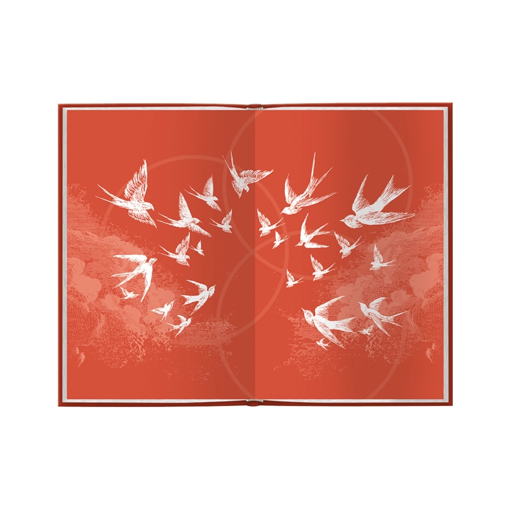 Книга Ув'язнити дику пташку. Книга 1 - Брук Фест КСД (9786171519817)