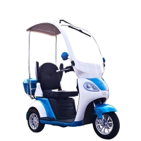 Electric scooter Skyline S (T418S) 500W 48V 20Hour (297055)