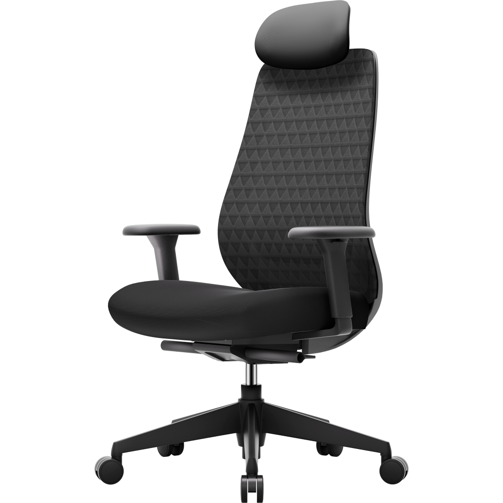 Офісне крісло OfficePro Omnis, OC640B (OC640B)